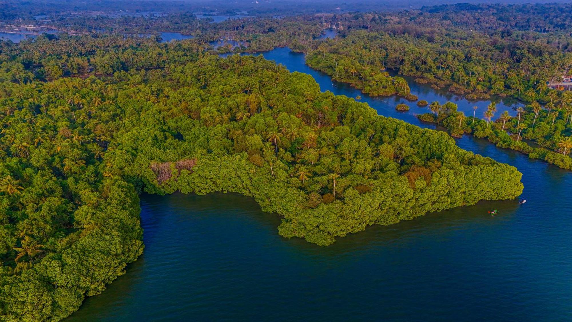 Fragrant Nature Backwater Resort & Ayurveda Spa Kollam Dış mekan fotoğraf